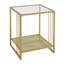 Darleen Glass Top Frame End Table