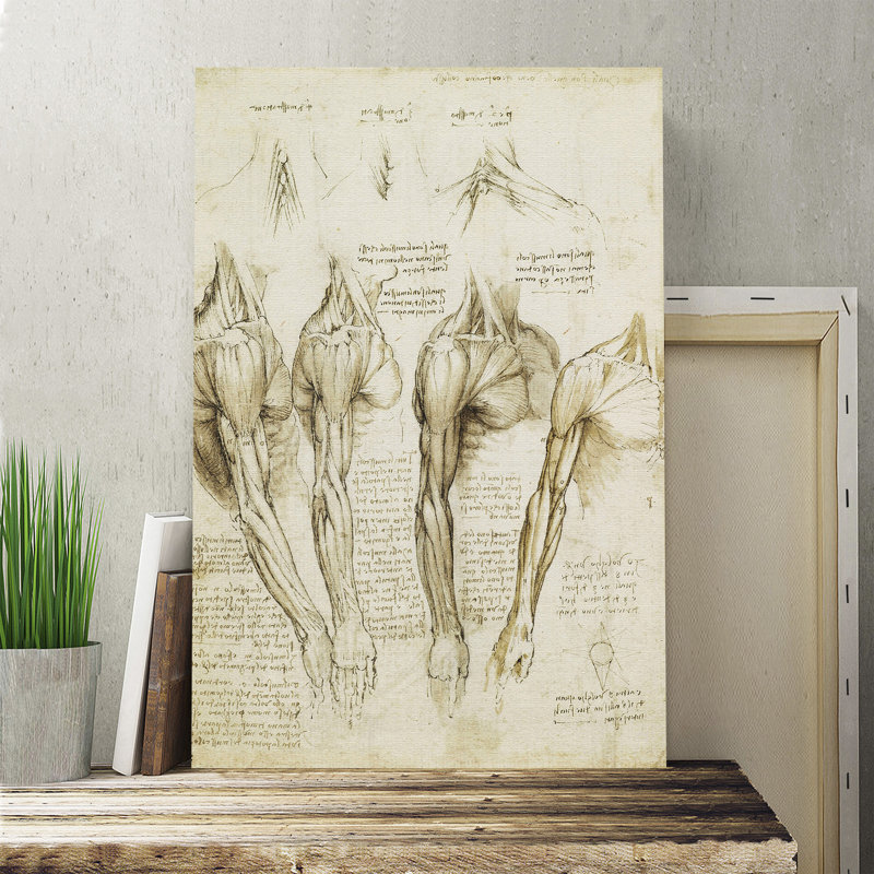 Leonardo Da Vinci - Wrapped Canvas, 76cm H x 50cm W