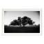 Foggy Morning Print by Jean Cornell-1522191823-1522191816