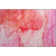 Premium Machine Washable Cerrito AMF507 Pink Rug