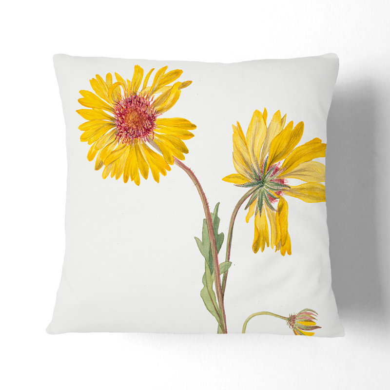 Square Cushion, White, 55cm H x 55cm W x 20cm D