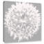 «Dandelion 7» par Irena Orlov, reproduction d'art sur toile tendue à motif floral blanc et gris-22582291