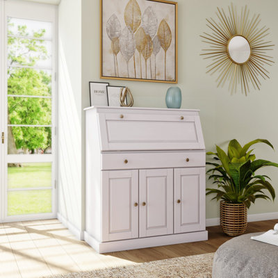Dinardo Solid Wood 3 - Door Rectangle Accent Cabinet
