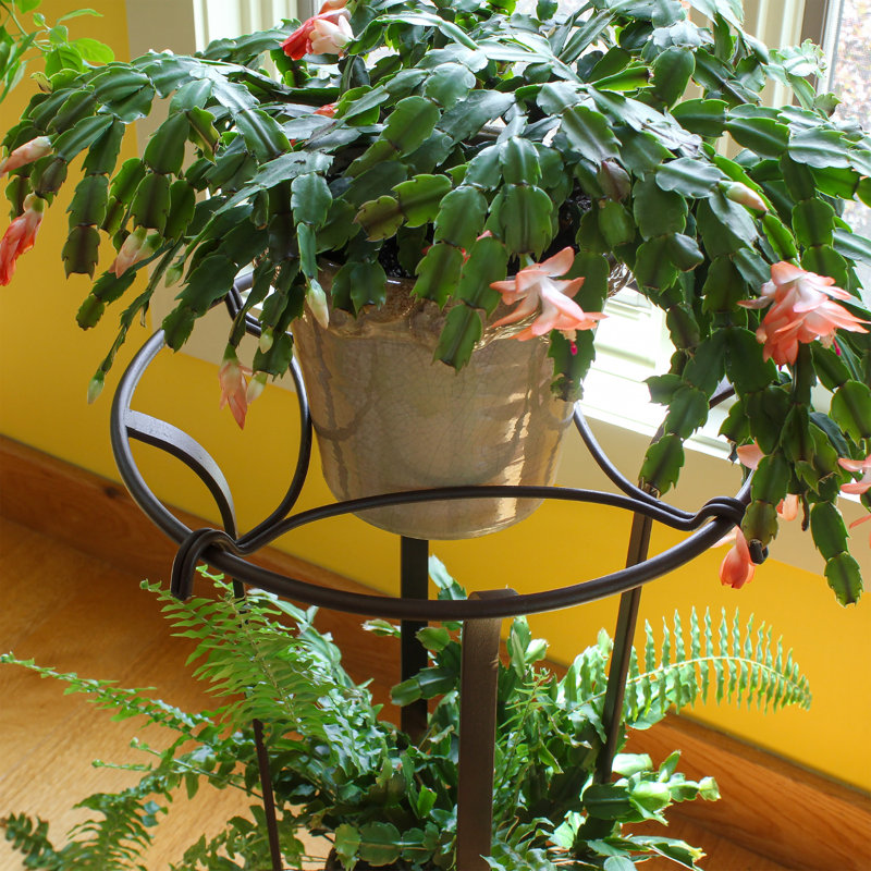 Support pour plante Bryony
