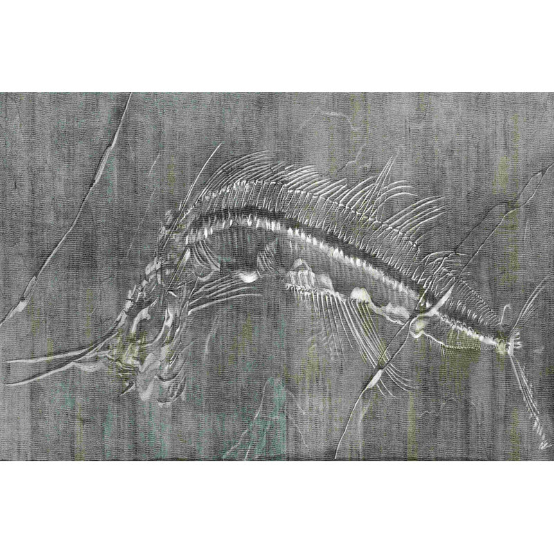 Impression fossile I, H 8 po x l 12 po