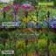 Clôture de jardin en métal à 5 panneaux et bordures pour chien 32 po (H) x 10 pi (L)
