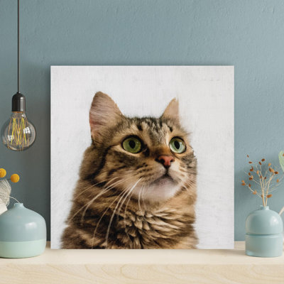 Chat tigré brun sur fond blanc - Impression sur toile tendue carrée 1 pièce