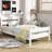 Coleman Bed With Headboard And Footboard-13054859-2824755