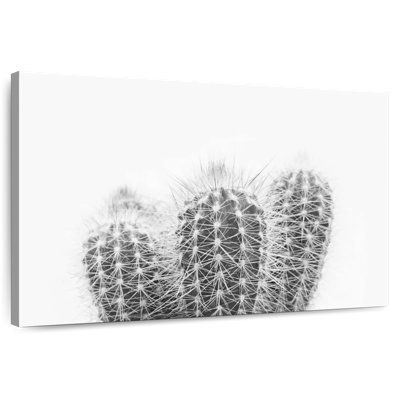 Harnek Prickly