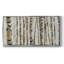 Sparkle Birch - Toile tendue avec châssis tendue, prête à accrocher-1445351180-1445351170