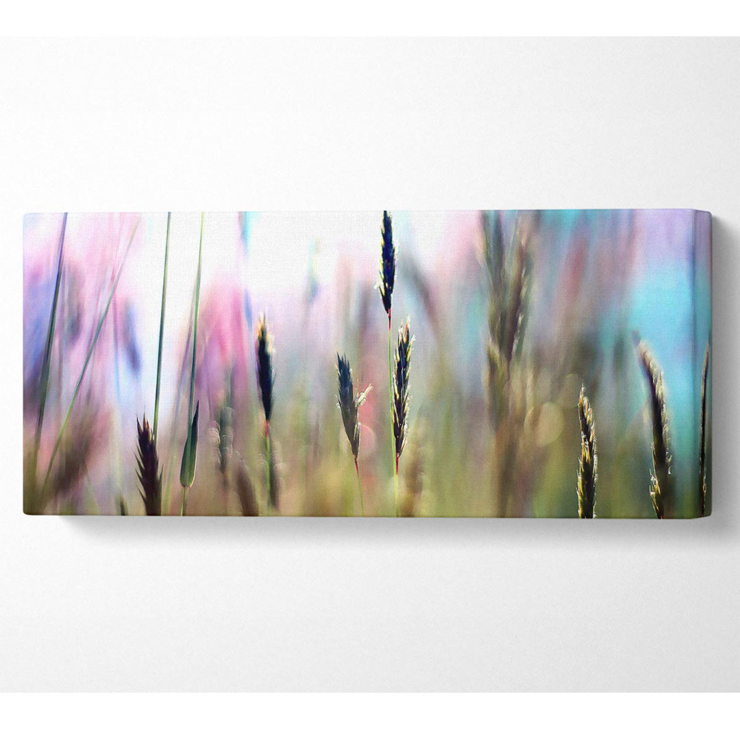 Soft Field Grass - Kunstdrucke auf Leinwand