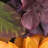 30" Harvest Sunflowers Wreath