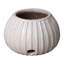 Rossetti Handmade Ceramic Planter