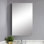 Armoire à pharmacie avec miroir et 4 tablettes fixes Aaditya W H 36 po