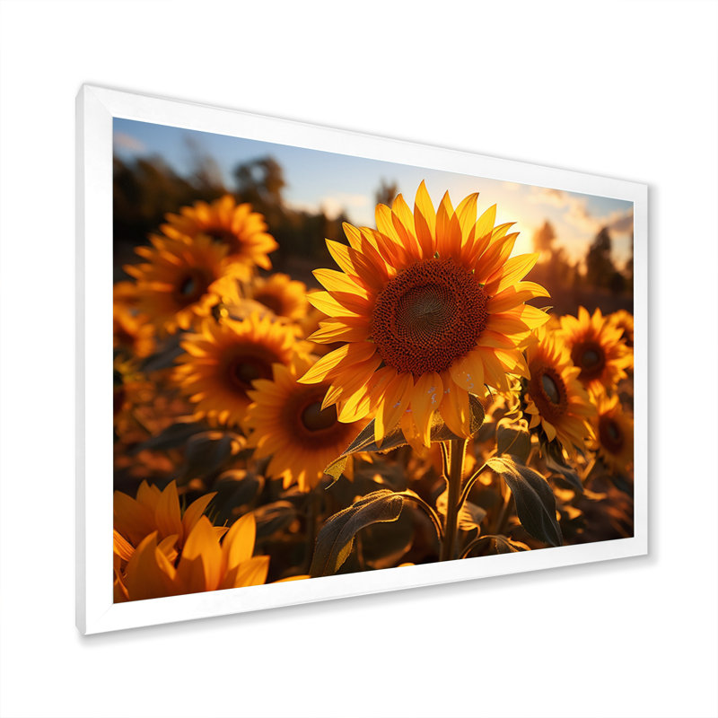 Tournesols orange et tournesols éclairés II, H 30 po x l 40 po x P 1,5 po, Cadre photo blanc