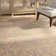 Huntingtown Viscose Ikat Indoor Rug