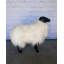 Statue ovine