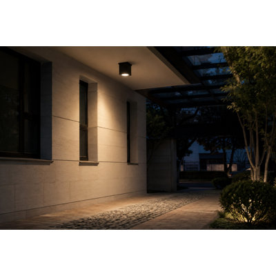 Arena 100 Ceiling Mount, 14W, Black Finish
