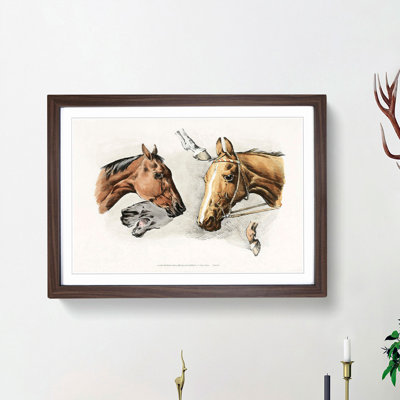 Horse Heads and Hoofs by Henry Alken - Framed Print