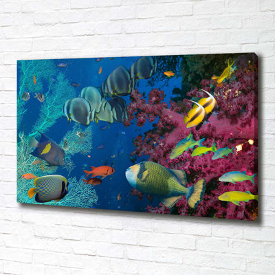 Coral Reef - Wrapped Canvas Print
