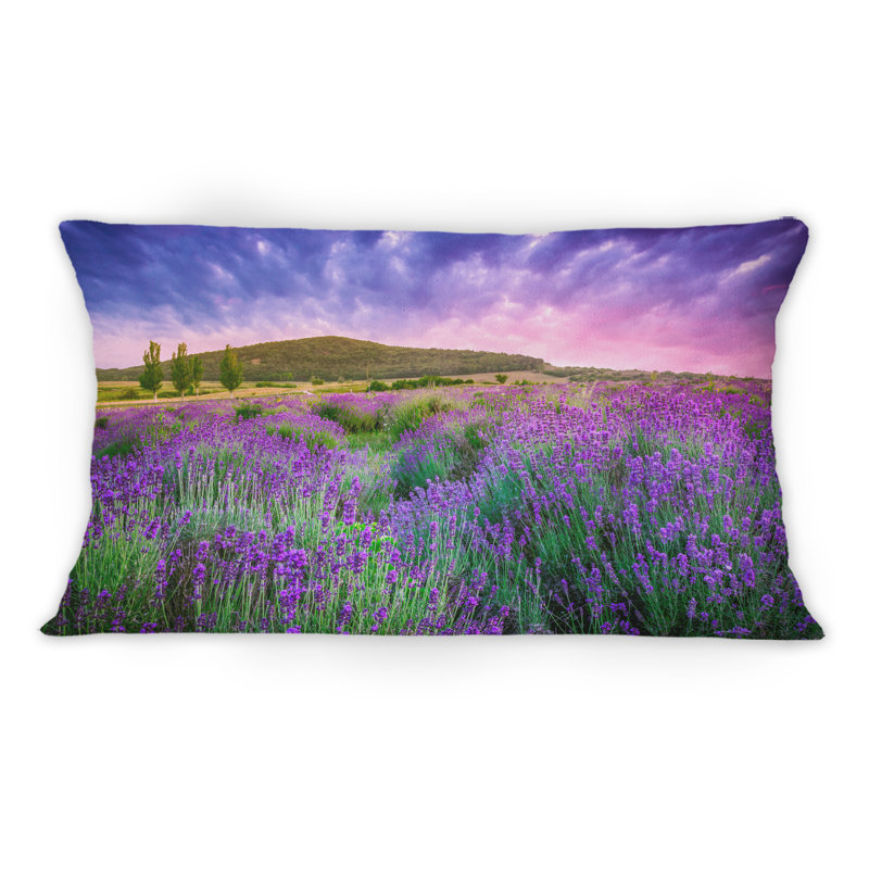 Coussin Glorious Sunset Over Blossoming Lavender Field - Farmhouse