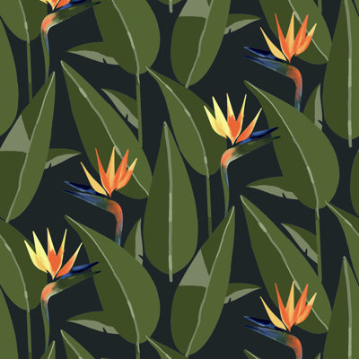 Birds of Paradise - Papier peint noir