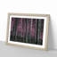 Forest in Pink - Framed Print-55577836-55577840