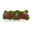 Assorted Sedum and Succulents in Fiberstone Planter