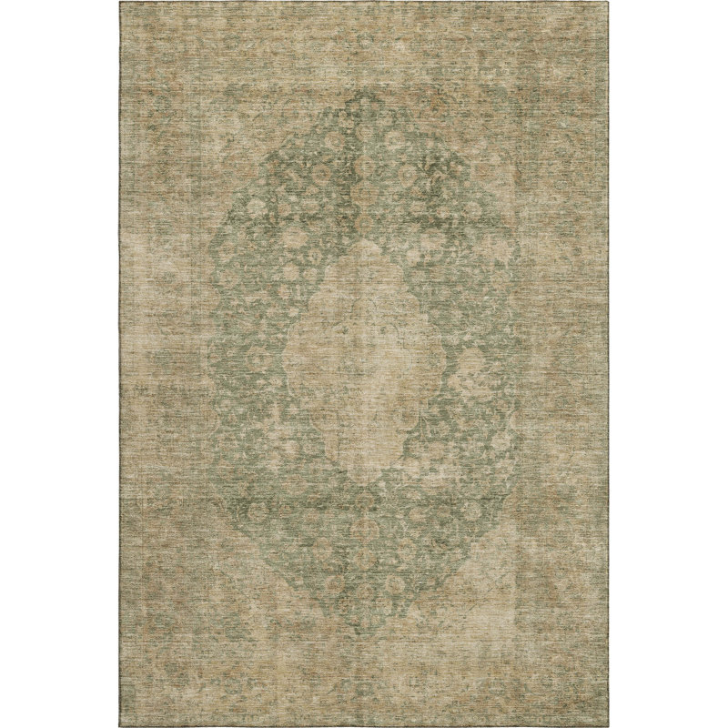 Premium Machine Washable Honig AMF1657 Global Rug, Rectangle 10' x 14'