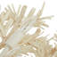 Fernanda 8 - Light Chandelier