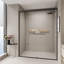 Double porte de douche coulissante-119432252