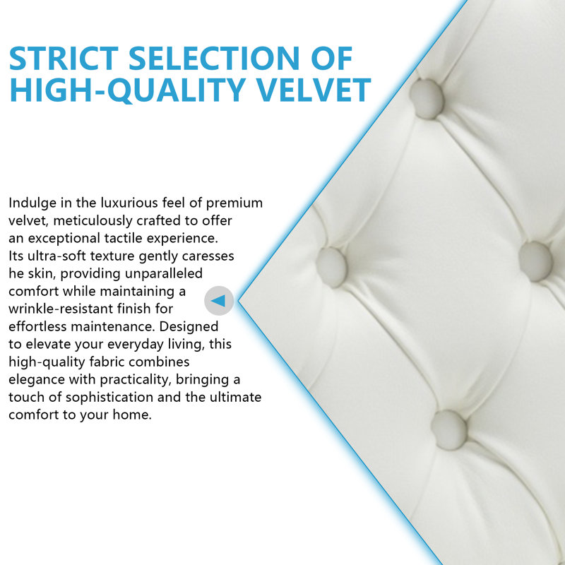  Velvet Upholstered Dining Chairs Set of 4, White/Blue