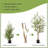 Artificial Olive Tree with Planter Natural Olive Branches