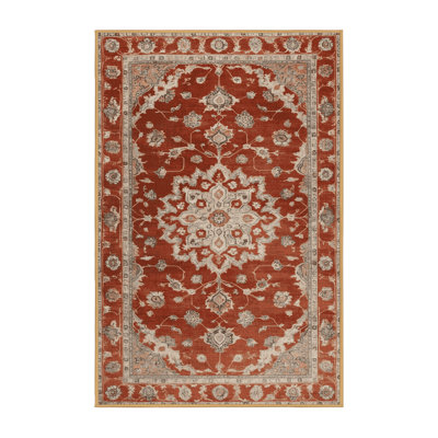 Machine Washable Overdyed Brown Area Rug