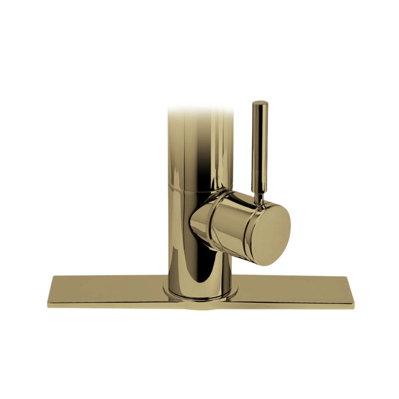 Contemporary 10" Escutcheon Plate, Antique Brass