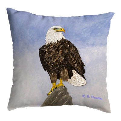 Coussin décoratif 