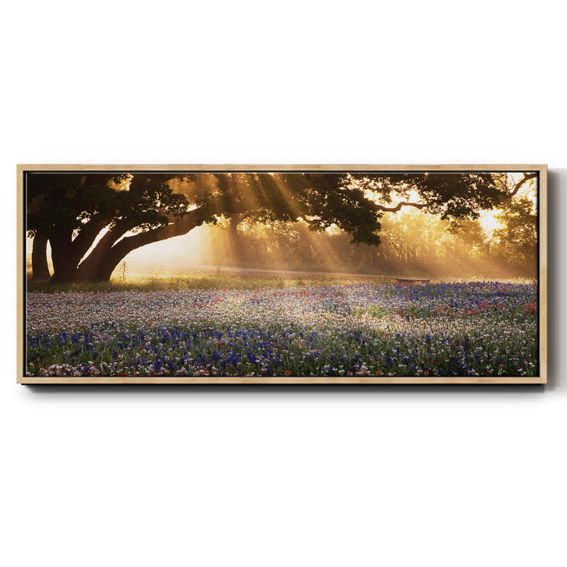 Morning Meadow - reproduction à cadre flottant, H 24 po x l 60 po x P 1,5 po, Naturel