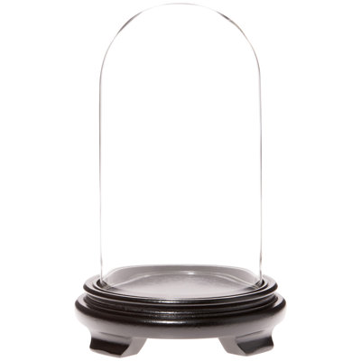 Keicha 4.5" x 8" Glass Display Dome Cloche