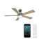 Wynd 5 - Blade Outdoor /Indoor Smart Ceiling Fan with Remote Control and LED Light Kit Included, Works With Alexa and iOS or Android App