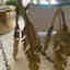 Customer photo 4 of 5