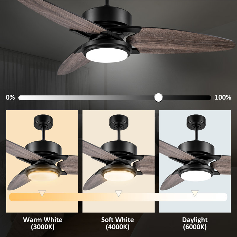 Donnabell 52'' Ceiling Fan with LED Lights, Gray Oak, Black
