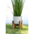 Faux Onion Grass in Ceramic Pot-1470934462