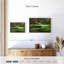 Augusta National 11th Hole I-1761339364-1761339366