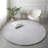 Khyrie Solid Color Machine Woven Shag Faux Fur Area Rug in Light Gray-1137823451