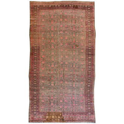 Khotan One-of-a-Kind 7' X 14'9" Area Rug