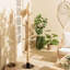 Cafferkey Solid Wood Freestanding Coat Rack