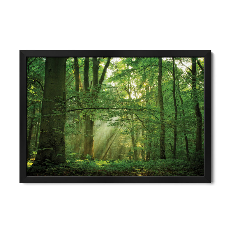 «Breathe», affiche encadrée de qualité supérieure par Lars van de Goor, H 16 po x l 24 po