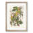 Oak Framed selected