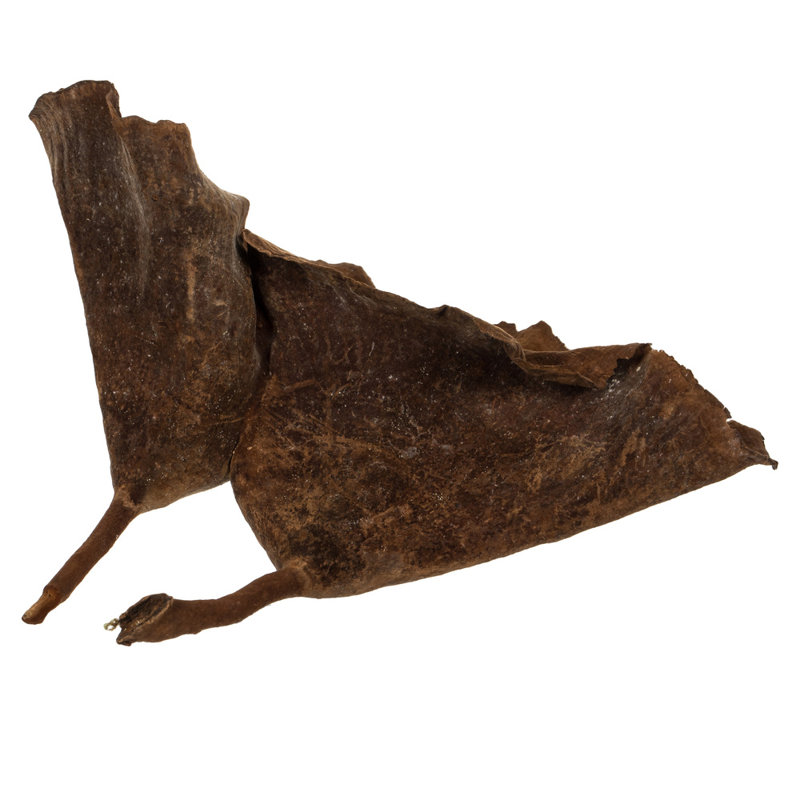 Vickerman 3-10" Natural Calice Multipiece Specimens, approximately 100 multi piece units, Dried