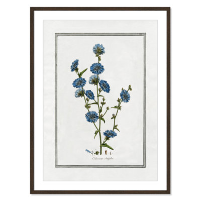 Colombe "Soft Botanical I" Print